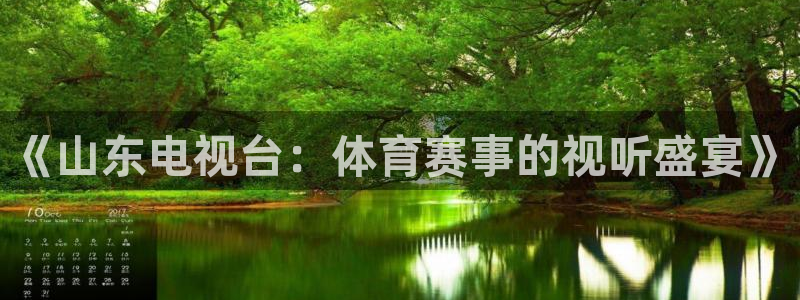球神直播nba在线直播免费观看：《山东电视台：体育赛事的视听盛宴》