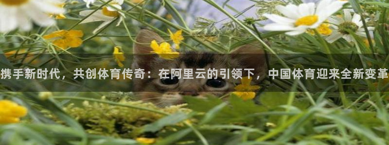 足球球神直播在线观看：携手新时代，共创体育传奇：在阿里云的引领下，中国体育迎来全新变革
