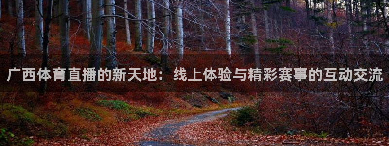 cba直播球神直播：广西体育直播的新天地：线上体验与精彩赛事的互动交流