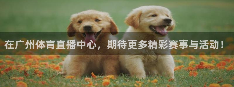 球神体育直播官网：在广州体育直播中心，期待更多精彩赛事与活动！