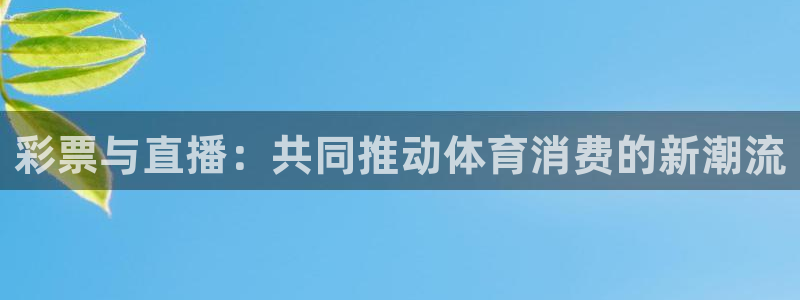 球神足球直播在线观看：彩票与直播：共同推动体育消费的新潮流